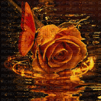 Background rose reflection - 無料のアニメーション GIF