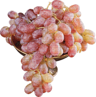 фрукты - png grátis