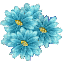 dulcineia8 flores