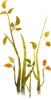 Tall grass with autumn leaves - kostenlos png