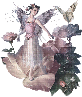fairy laurachan