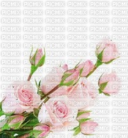 FLORES A 120616 - 無料png