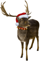 Reindeer.Brown.White.Red.Gold - Free PNG