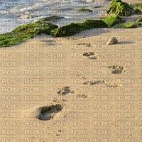 fond footsteps bp - PNG gratuit