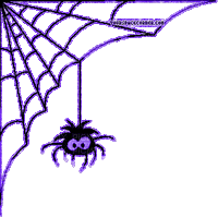 purple spiderweb halloween - Free animated GIF
