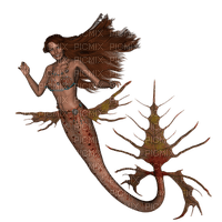 Kaz_Creations Mermaid Mermaids - zdarma png