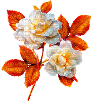 autumn rose by nataliplus - Δωρεάν κινούμενο GIF