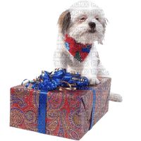 Kaz_Creations Animals Animal Dogs Dog Pup - δωρεάν png