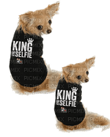Kaz_Creations Dogs Pups Costume - PNG gratuit