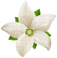white flower Bb2 - 免费PNG