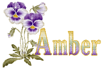 Kaz_Creations Names Amber Animated - Animovaný GIF zadarmo