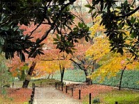 maisema landscape syksy autumn Japani - ilmainen png