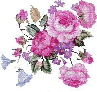 MMarcia gif  daisy flowers flores margarida - GIF animado gratis