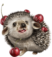 Cherry Hedgehog - Bogusia - Free PNG