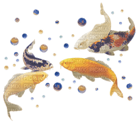 poissons ( - zadarmo png