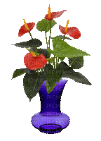 fleur exotique vase flower