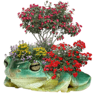 FLOWER FROGGY - png gratuito