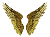 Golden Wings - gratis png