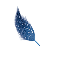 kikkapink deco scrap blue feather - Free PNG