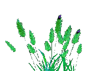 Трава - GIF animado grátis