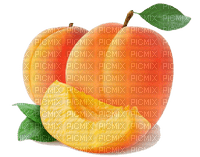 apricot Bb2 - png gratis