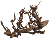 plant roots - zdarma png