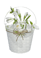 Frühling, Blumen, Eimer - Bezmaksas animēts GIF