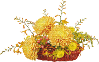 Flowers yellow bp - Free PNG