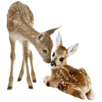 deer - Nitsa 1 - Free PNG