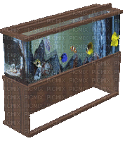 Vis aquarium - Ingyenes animált GIF