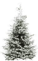Winter Christmas Tree - Darmowy animowany GIF