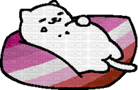 Lesbian Tubbs the cat - 無料png