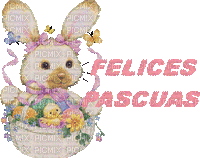 Felices Pascuas-Victoriabea - Animovaný GIF zadarmo