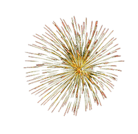 Fireworks_Effect-gold - nemokama png
