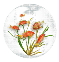 Ladybird - FISH - PNG gratuit