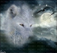 white wolf - PNG gratuit