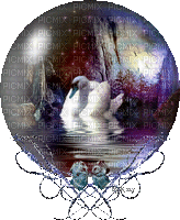 Sphere swan laurachan - Δωρεάν κινούμενο GIF
