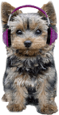 Kathleen Reynolds Dog Pup - 免费PNG