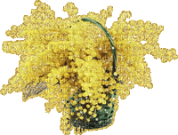 mimosa.Cheyenne63 - Free animated GIF