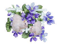 écureuil blanc - Безплатен анимиран GIF