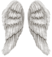 wing - png gratuito
