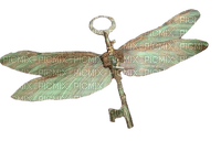 dragonfly key - png gratis