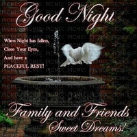 Good Night Family and Friends - PNG gratuit