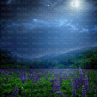 Y.A.M._Night Landscape background - Free PNG
