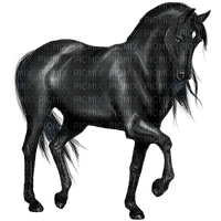 blk stallion - png gratis