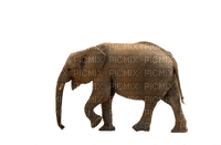 elephant, wild animal, elefantti, villieläin - 免费PNG