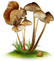 patymirabelle champignon - png gratuito