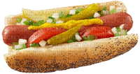 Hot Dog 8 - bezmaksas png