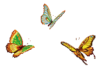 butterfly papillon schmetterling - Ücretsiz animasyonlu GIF