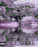 lagoalilas - GIF animado grátis